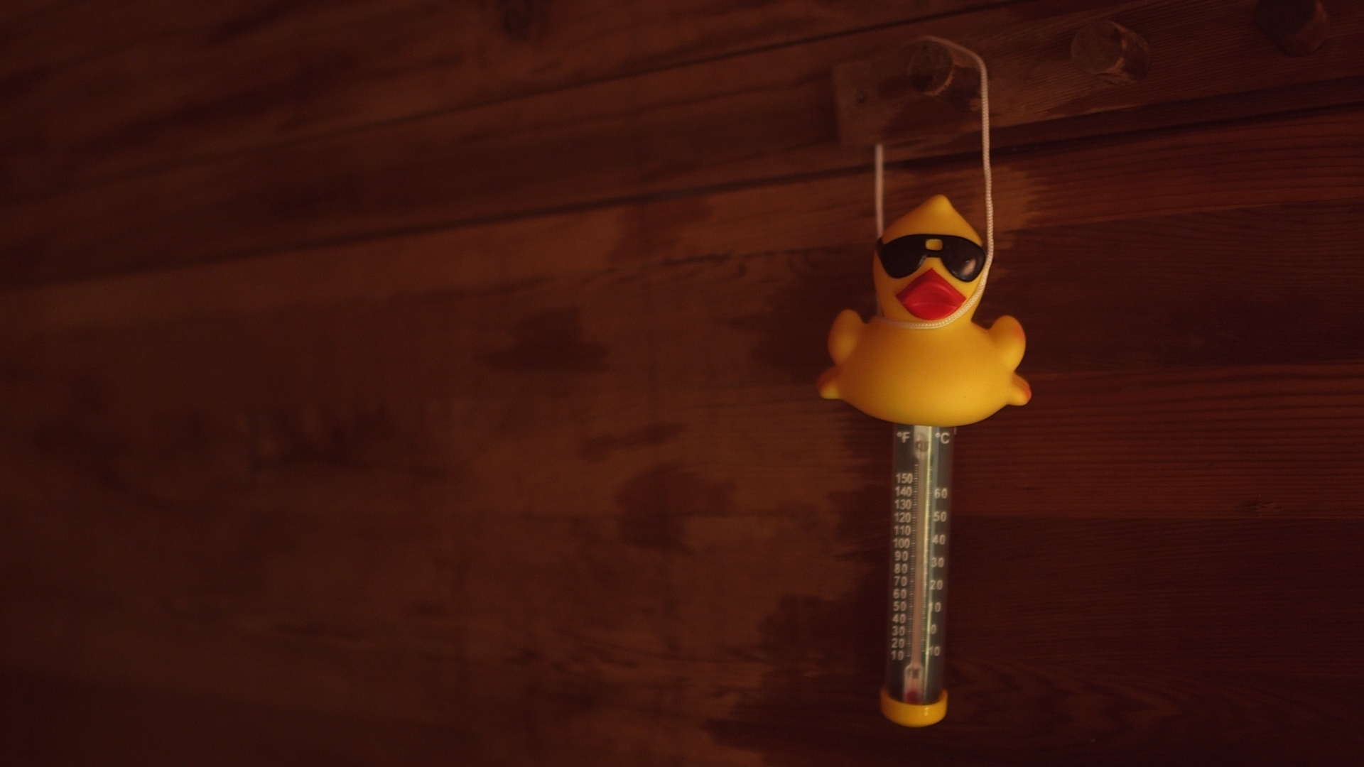 Two Men, One Sauna still